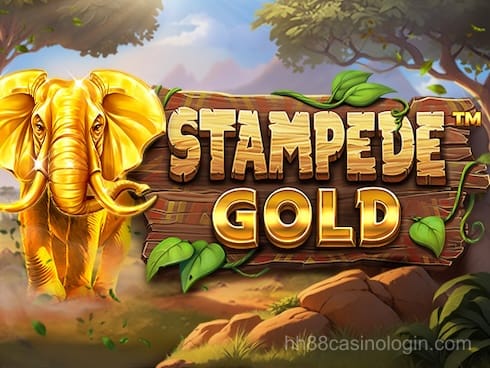 Stampede Gold